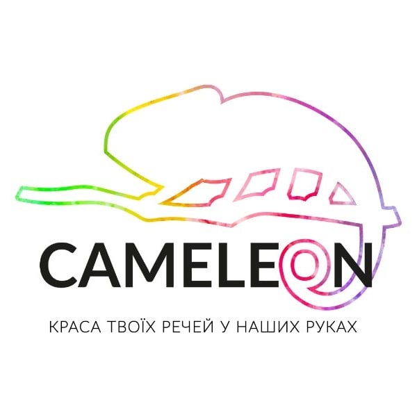 Chameleon Image